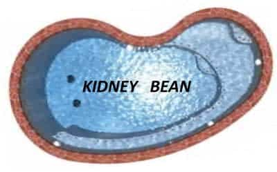 Swimming pool kidney bean